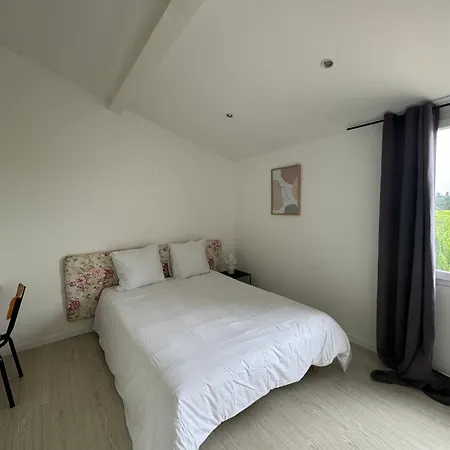 Belle Maison Piscine アルル